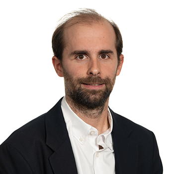 Felipe Viela Bovio